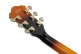 AS113-BS Brown Sunburst Artstar