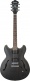 AS53-TKF Transparent Black Flat Artcore