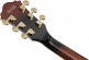 As93Qmsp-Dbs Dark Brown Sunburst Artcore Expressionist