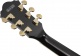 As93Sp-Bk Black Artcore Expressionist