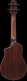 Auc14-Ovl Violin Sunburst