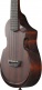 AUC14-OVL Violin Sunburst