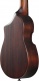 Auc14-Ovl Violin Sunburst