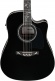 AW391RCEBKH Black Top