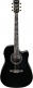 AW391RCEBKH Black Top