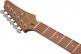 AZ22S1F-TKS Standard Transparent Black Sunburst