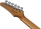 AZ22S1F-TKS Standard Transparent Black Sunburst
