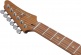 AZ24S1F-TKS Standard Transparent Black Sunburst