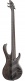 Btb805Ms-Tgf Transparent Gray Flat Bass Workshop