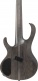 Btb805Ms-Tgf Transparent Gray Flat Bass Workshop