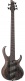 Btb805Ms-Tgf Transparent Gray Flat Bass Workshop