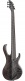 Btb806Ms-Tgf Transparent Gray Flat Bass Workshop