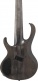 Btb806Ms-Tgf Transparent Gray Flat Bass Workshop