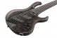 Btb806Ms-Tgf Transparent Gray Flat Bass Workshop
