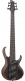 Btb806Ms-Tgf Transparent Gray Flat Bass Workshop