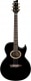 EP5-BP-BLACK PEARL HIGH GLOSS STEVE VAI SIGNATURE