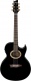 Ep5-Bp Black Pearl Signature Steve Vai Euphoria