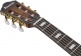 FRH20SMNTCL Tobacco Burst Low Gloss
