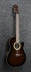 Ga35Tce-Dvs Dark Violin Sunburst