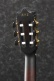 Ga35Tce-Dvs Dark Violin Sunburst