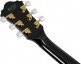 GB10-BK Black George Benson Signature