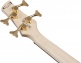 Gsr200Pc-Tmu Transparent Marine Burst Gio