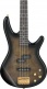 Gsr200Pc Transparent Pale Black Burst