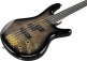 Gsr200Pc Transparent Pale Black Burst