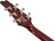 IC420FM-VLS Violin Sunburst Iceman