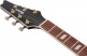 IC420FM-VLS Violin Sunburst Iceman
