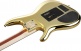 JS1GD Joe Satriani Signature