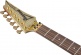 JS1GD Joe Satriani Signature
