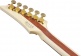 JS1GD Joe Satriani Signature