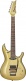 JS1GD Joe Satriani Signature