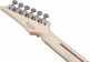 Js3Cr Signature Joe Satriani