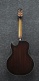 Jsa20-Vb Vintage Burst Signature Joe Satriani