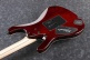 Kiko10Bp-Tgb Transparent Gray Burst Signature Kiko Loureiro Premium