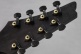 M8M Signature Fredrik Thordendal / Mårten Hagström