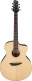 Pa300E-Nsl Natural