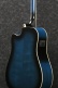 Pf15Ece-Tbs Transparent Blue Sunburst Performance