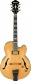PM200-NT Natural Signature Pat Metheny PM