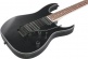 Rg420Ex-Bkf Black Flat