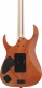 Rg5120M-Prt Polar Lights Prestige