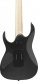 Rg7420Ex-Bkf Black Flat