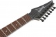 Rg7421Exl-Bkf Black Flat