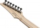 RGA217P1PBDRL Deep Twilight Burst Low Gloss Premium
