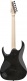 RGA21P1PBDRL Deep Twilight Burst Low Gloss Premium