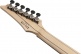 RGA21P1PBDRL Deep Twilight Burst Low Gloss Premium