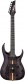RGA21P1PBDRL Deep Twilight Burst Low Gloss Premium