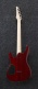 S521-Bbs Blackberry Sunburst Sabre